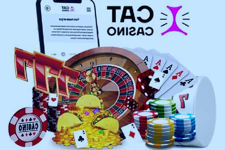 Cat Casino
